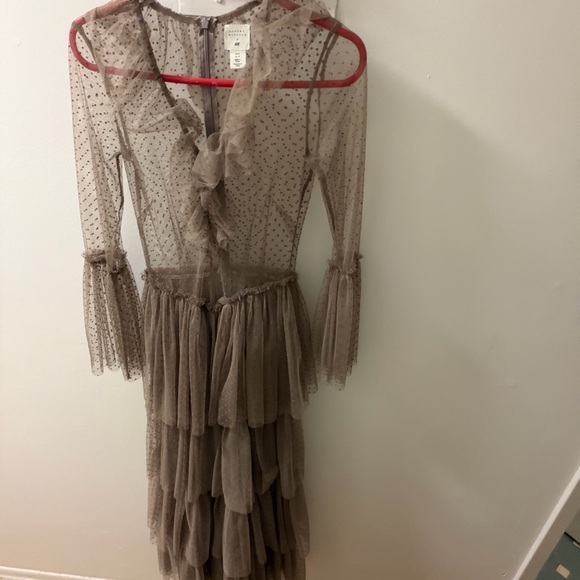 Sandra Mansour x H&M Polka Dot Tulle Tiered Ruffle Midi Dress Sheer Sleeves XS - Picture 5 of 6